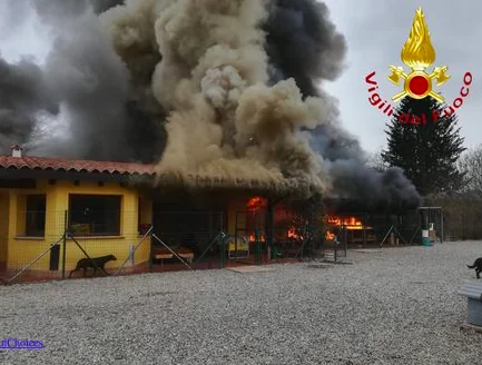 Incendio al canile, in tanti si offrono di ospitare i cani